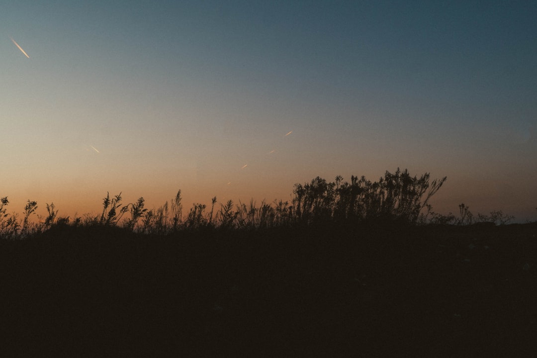 Welcome to Kenley Park Homeowners Association!